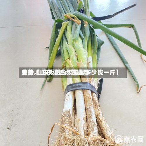 关于【山东聊城大葱费用走势,山东大葱今天零卖多少钱一斤】