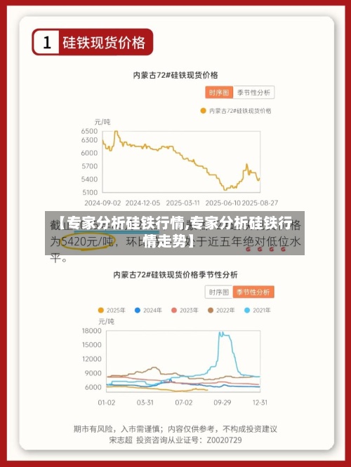 【专家分析硅铁行情,专家分析硅铁行情走势】