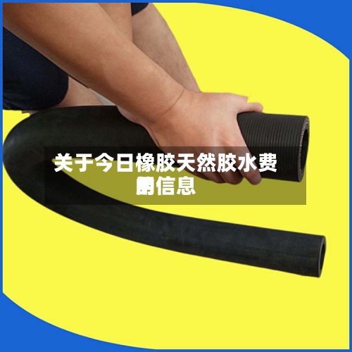 关于今日橡胶天然胶水费用的信息-第3张图片