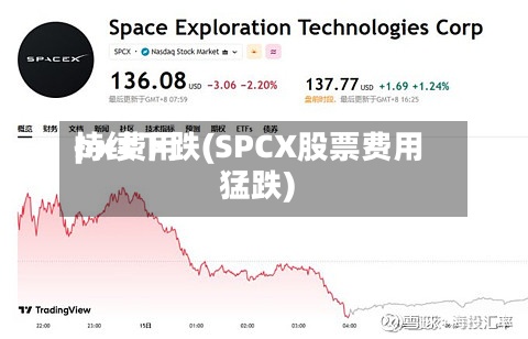 px费用
持续下跌(SPCX股票费用
猛跌)-第2张图片