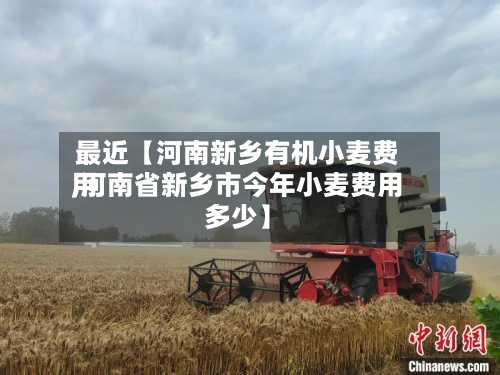 最近【河南新乡有机小麦费用,河南省新乡市今年小麦费用多少】-第3张图片