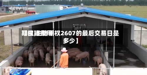 【生猪费用期权,生猪期权2607的最后交易日是多少】