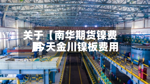 关于【南华期货镍费用,今天金川镍板费用】-第2张图片
