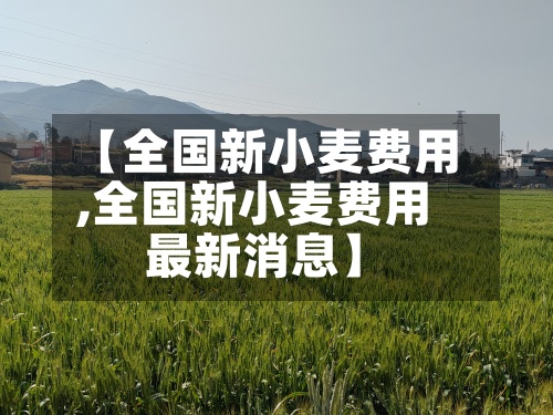 【全国新小麦费用
,全国新小麦费用
最新消息】-第2张图片