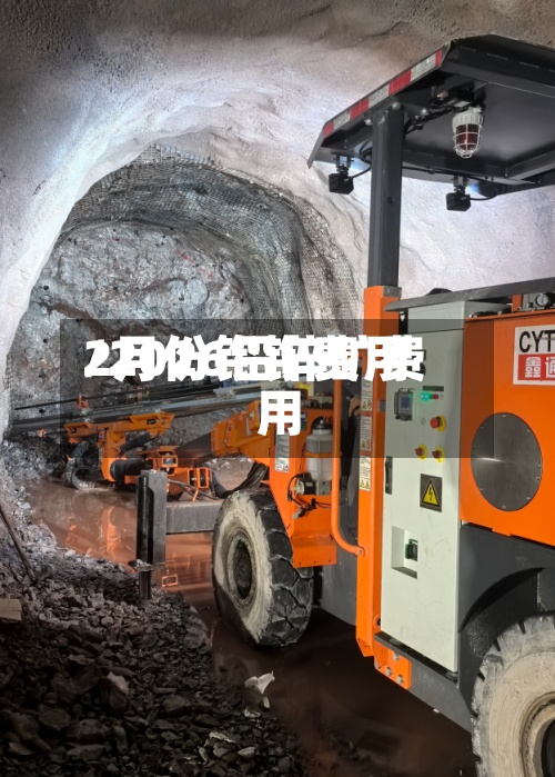 2月份铅锌费用/2026铅锌矿费用-第2张图片