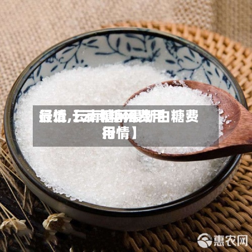 最近【云南糖网费用
行情,云南糖网最新白糖费用
行情】