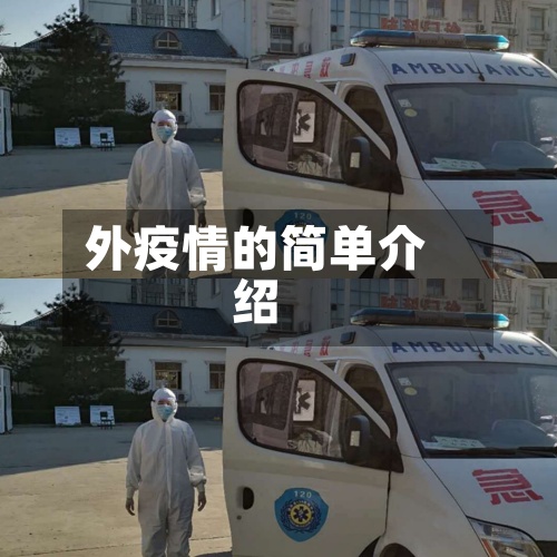 外疫情的简单介绍