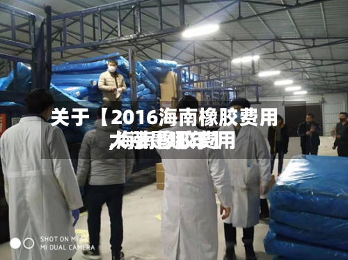关于【2016海南橡胶费用
,海南橡胶费用
大涨是哪年】-第3张图片