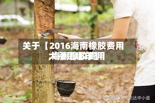 关于【2016海南橡胶费用
,海南橡胶费用
大涨是哪年】-第2张图片