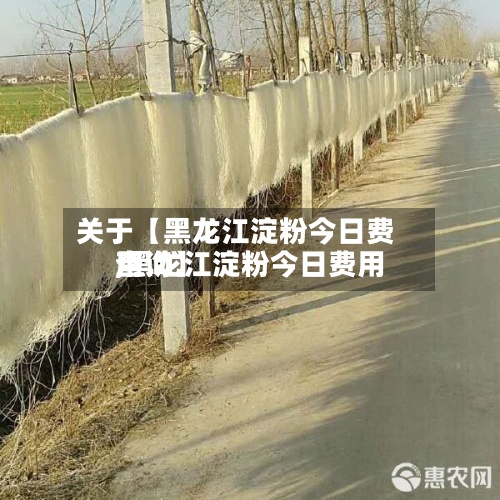 关于【黑龙江淀粉今日费用,黑龙江淀粉今日费用查询】-第2张图片