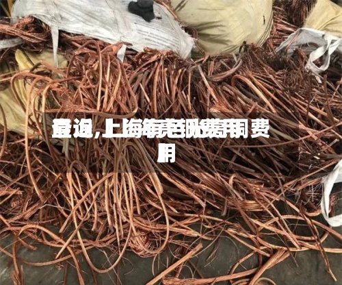 最近【上海亮铜费用查询,上海有色光亮铜费用】