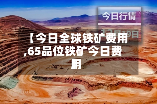 【今日全球铁矿费用,65品位铁矿今日费用】