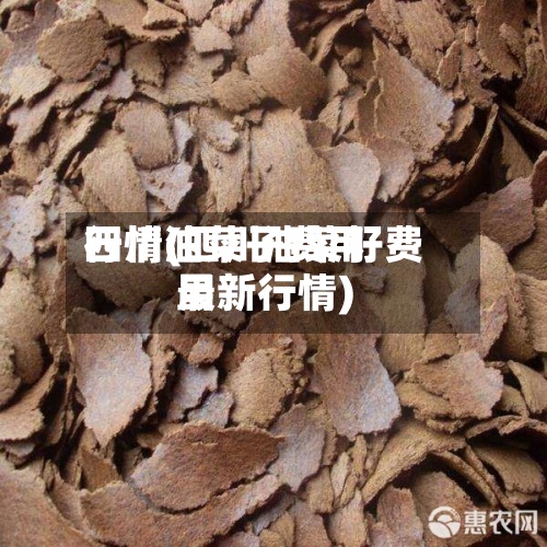 四川油菜子费用行情(四川油菜籽费用最新行情)