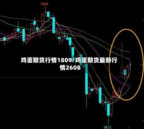 鸡蛋期货行情1809/鸡蛋期货最新行情2608