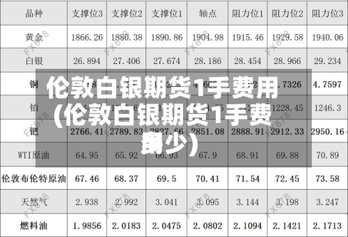 伦敦白银期货1手费用(伦敦白银期货1手费用多少)-第3张图片