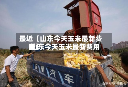 最近【山东今天玉米最新费用
,山东今天玉米最新费用
表】-第3张图片