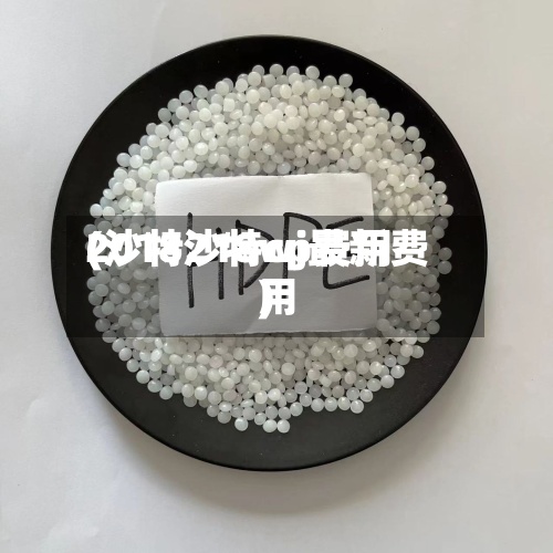 2018沙特cp费用
(沙特218wj最新费用
)-第3张图片