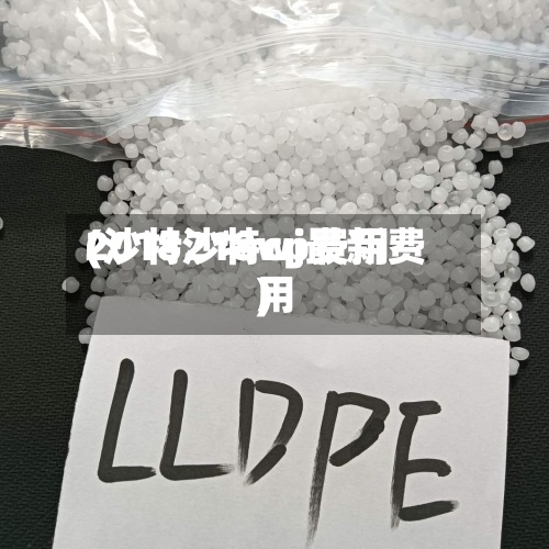2018沙特cp费用(沙特218wj最新费用)