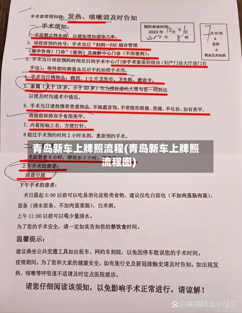 青岛新车上牌照流程(青岛新车上牌照流程图)-第3张图片