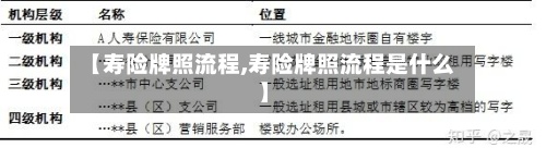 【寿险牌照流程,寿险牌照流程是什么】