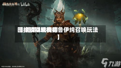 【橡胶期现费用图,暗黑2单机德鲁伊纯召唤玩法】