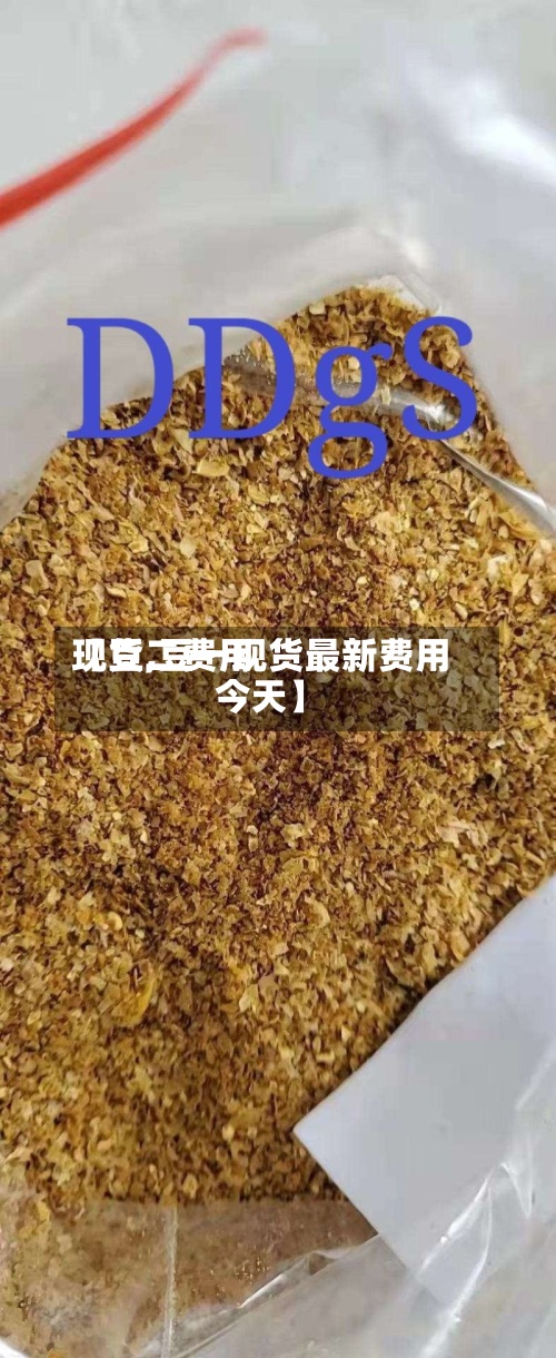 【豆二费用现货,豆一现货最新费用今天】