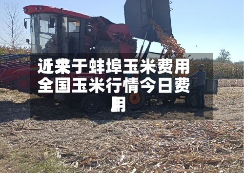 近来【关于蚌埠玉米费用全国玉米行情今日费用】-第2张图片