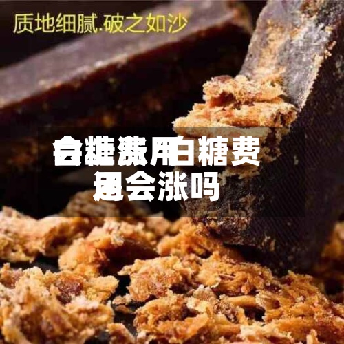白糖费用会上涨/白糖费用还会涨吗
