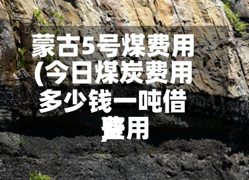 蒙古5号煤费用(今日煤炭费用多少钱一吨借鉴费用)-第2张图片