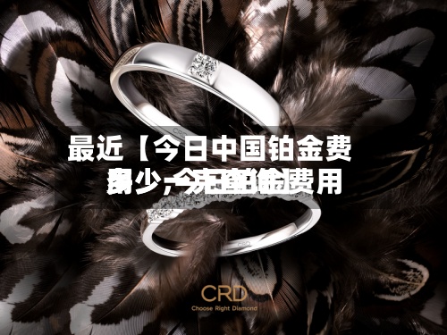 最近【今日中国铂金费用
多少,今日铂金费用
多少一克查询】-第2张图片