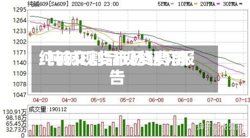 纯碱交割品现货费用
/纯碱现货市场研究报告-第2张图片