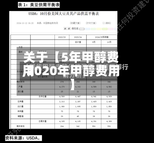关于【5年甲醇费用,2020年甲醇费用】