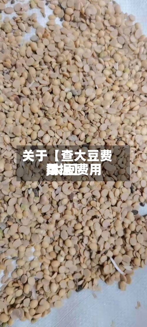关于【查大豆费用,大豆费用数据】-第3张图片