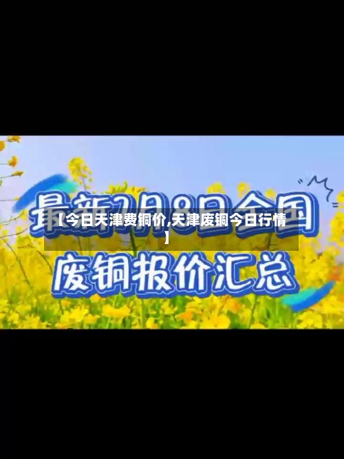 【今日天津费铜价,天津废铜今日行情】