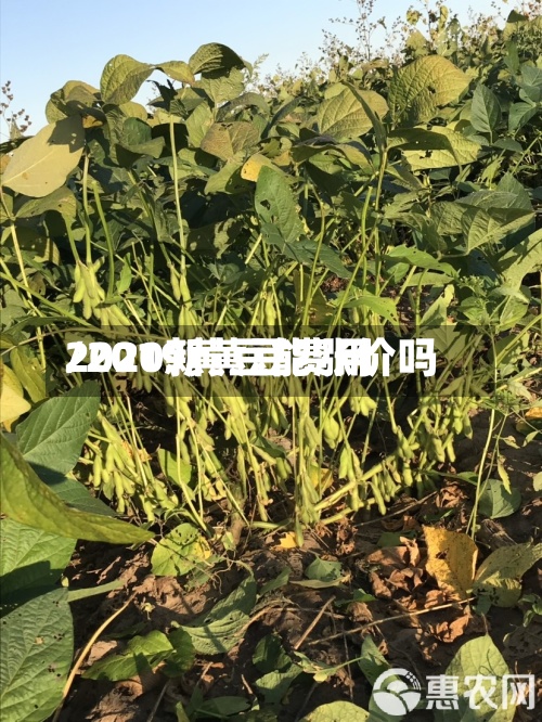 2020新黄豆费用/2019黄豆能涨价吗