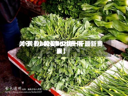 关于【小黄姜2020费用,小黄姜2026多少钱一斤最新费用表】