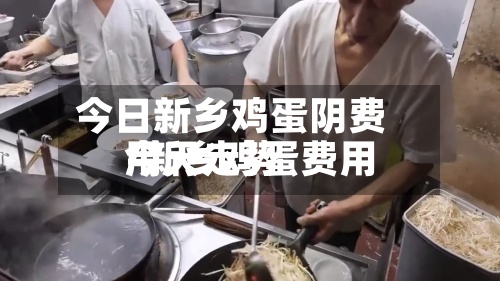 今日新乡鸡蛋阴费用/新乡鸡蛋费用今天走势
