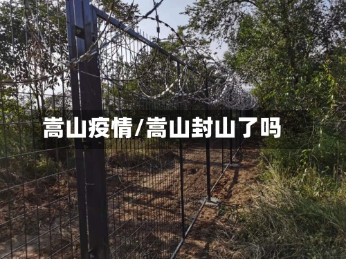 嵩山疫情/嵩山封山了吗-第2张图片