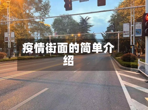 疫情街面的简单介绍