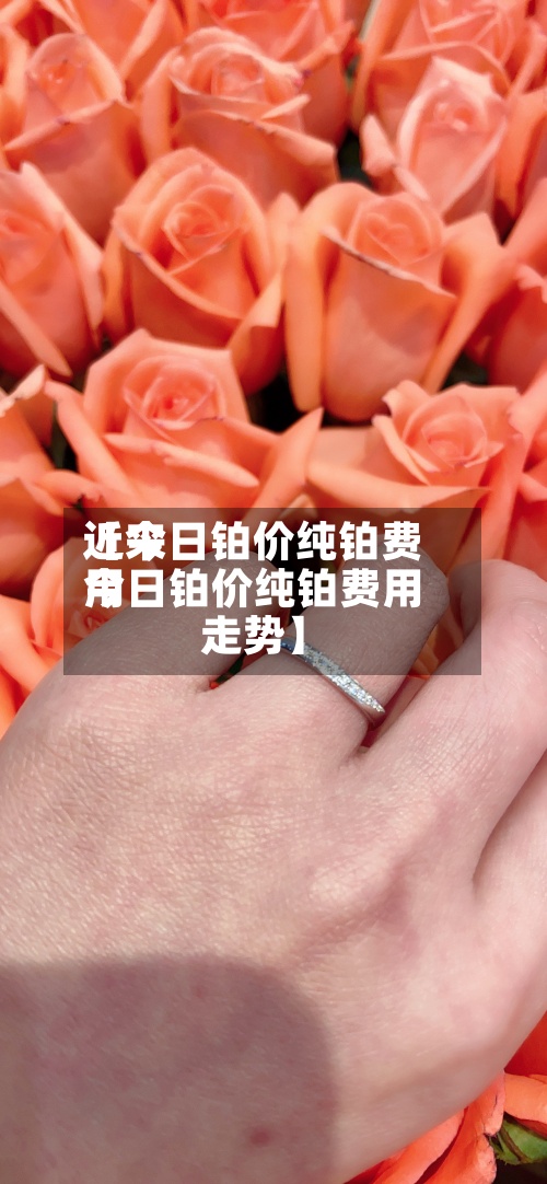 近来
【今日铂价纯铂费用
今日铂价纯铂费用
走势】-第2张图片