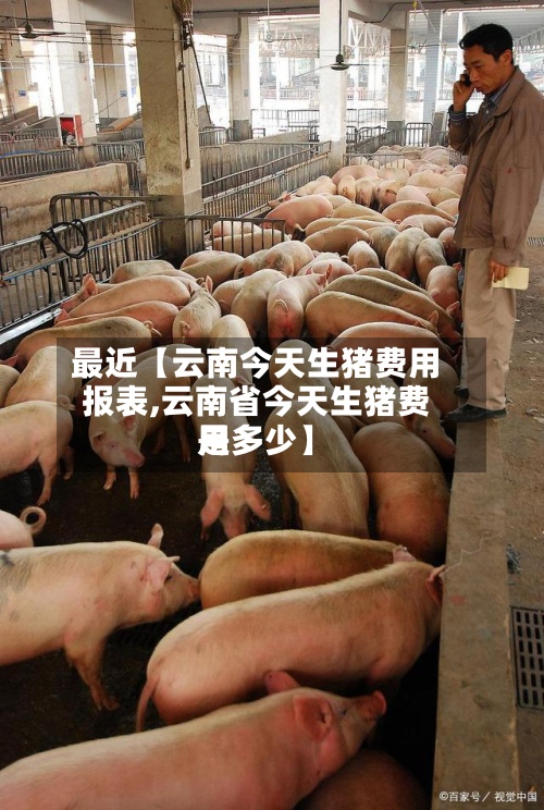 最近【云南今天生猪费用报表,云南省今天生猪费用是多少】-第3张图片