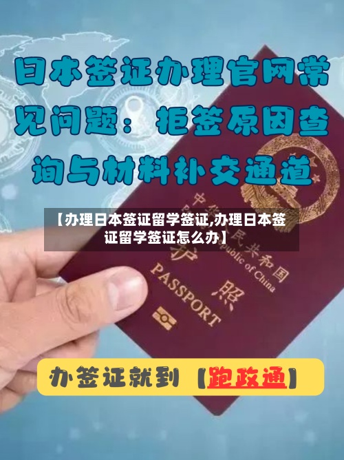 【办理日本签证留学签证,办理日本签证留学签证怎么办】-第3张图片