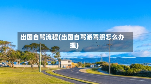 出国自驾流程(出国自驾游驾照怎么办理)