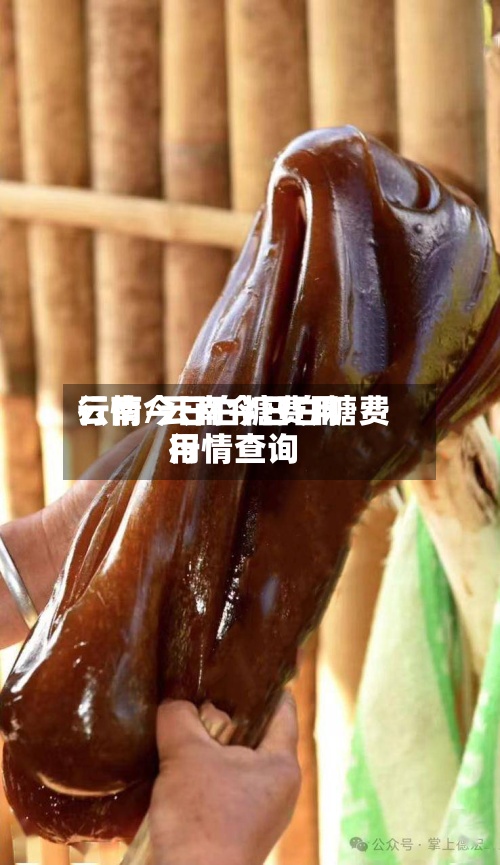 云南今日白糖费用行情/云南今日白糖费用行情查询