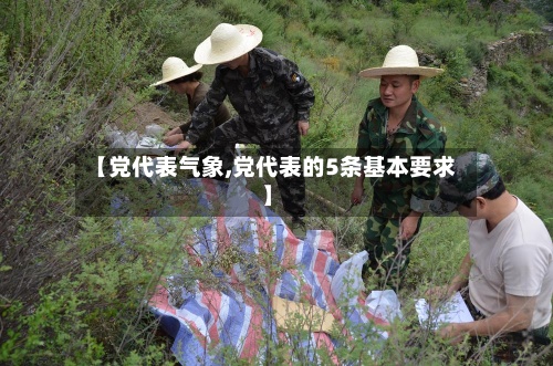【党代表气象,党代表的5条基本要求】-第2张图片