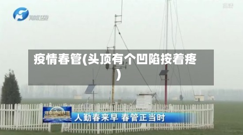 疫情春管(头顶有个凹陷按着疼)
