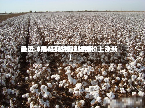 最近【棉花现货最新费用
走势,8月6日皮棉现货报价上涨新】-第2张图片