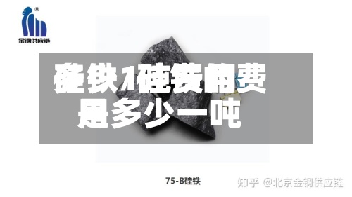 硅铁1吨费用
多少/硅铁的费用
是多少一吨-第3张图片