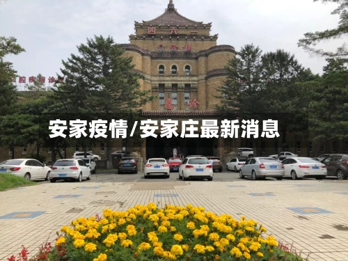 安家疫情/安家庄最新消息