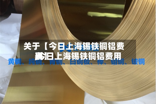 关于【今日上海锡铁铜铝费用
,今日上海锡铁铜铝费用
表】-第2张图片